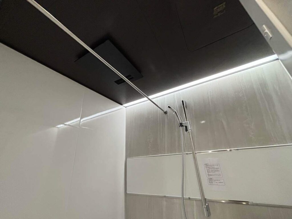 フラット天井<br />
チャコールブラック<br />
<br />
ストレートライン照明<br />
（ブラック）